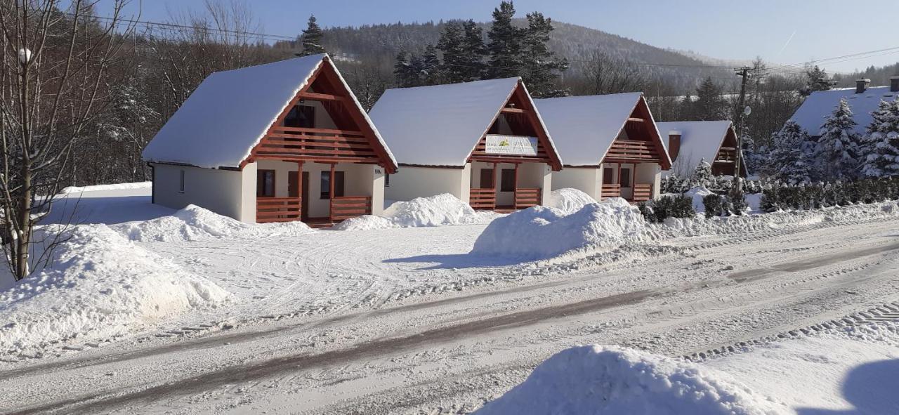 Domki Pod Czarnym Groniem Villa Rzyki Exterior foto